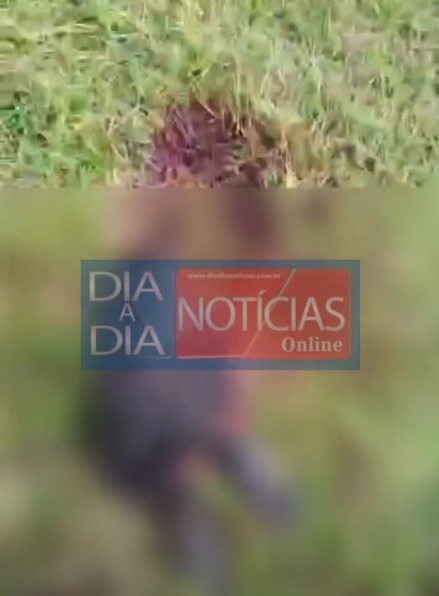 Criminosos invadem propriedade rural e abatem bovino no distrito de Marabá